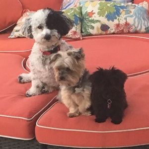 Meet your Posher, Vicky